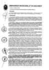 Vista preliminar de documento ord010.pdf