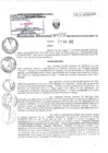 Vista preliminar de documento RD0136-MIDAGRI-DVDIAR-PEBPT-DE.pdf