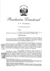 Vista preliminar de documento RD 61-2019-JUS-DGJLR