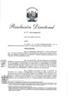 Vista preliminar de documento RD 65-2019-JUS-DGJLR