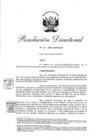Vista preliminar de documento RD 66-2019-JUS-DGJLR