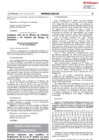 Vista preliminar de documento DS-004-2019-MIMP