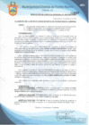 Vista preliminar de documento Resolución de Gerencia Municipal N° 0100-2019/MDPN