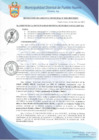 Vista preliminar de documento Resolución de Gerencia Municipal N° 0184-2019/MDPN