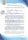 Vista preliminar de documento Resolución de Gerencia Municipal N° 0207-2019/MDPN
