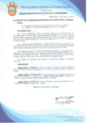 Vista preliminar de documento Resolución de Gerencia Municipal N° 0295-2019/MDPN