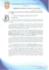 Vista preliminar de documento Resolución de Gerencia Municipal N° 0351-2019/MDPN