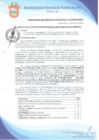 Vista preliminar de documento Resolución de Gerencia Municipal N° 0375-2019/MDPN