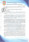 Vista preliminar de documento Resolución de Gerencia Municipal N° 0387-2019/MDPN