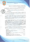 Vista preliminar de documento Resolución de Gerencia Municipal N° 0406-2019/MDPN