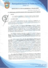 Vista preliminar de documento Resolución de Gerencia Municipal N° 0452-2019/MDPN