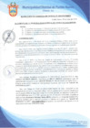 Vista preliminar de documento Resolución de Gerencia Municipal N° 0484-2019/MDPN