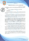 Vista preliminar de documento Resolución de Gerencia Municipal N° 0500-2019/MDPN