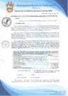 Vista preliminar de documento Resolución de Gerencia Municipal N° 0510-2019/MDPN