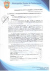 Vista preliminar de documento Resolución de Gerencia Municipal N° 0736-2019/MDPN