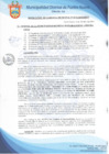 Vista preliminar de documento Resolución de Gerencia Municipal N° 0772-2019/MDPN