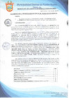 Vista preliminar de documento Resolución de Gerencia Municipal N° 0782-2019/MDPN
