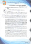 Vista preliminar de documento Resolución de Gerencia Municipal N° 0850-2019/MDPN