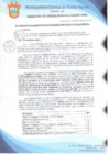 Vista preliminar de documento Resolución de Gerencia Municipal N° 0874-2019/MDPN