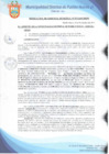 Vista preliminar de documento Resolución de Gerencia Municipal N° 0875-2019/MDPN