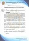 Vista preliminar de documento Resolución de Gerencia Municipal N° 0999-2019/MDPN