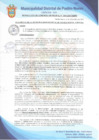 Vista preliminar de documento Resolución de Gerencia Municipal N° 1049-2019/MDPN