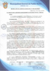 Vista preliminar de documento Resolución de Gerencia Municipal N° 0049-2020/MDPN