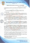 Vista preliminar de documento Resolución de Gerencia Municipal N° 0100-2020/MDPN