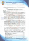 Vista preliminar de documento Resolución de Gerencia Municipal N° 0119-2020/MDPN