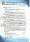 Vista preliminar de documento Resolución de Gerencia Municipal N° 0258-2020/MDPN