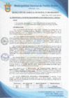 Vista preliminar de documento Resolución de Gerencia Municipal N° 0289-2020/MDPN