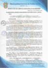Vista preliminar de documento Resolución de Gerencia Municipal N° 0347-2020/MDPN