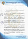 Vista preliminar de documento Resolución de Gerencia Municipal N° 0510-2020/MDPN