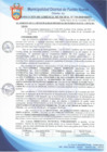 Vista preliminar de documento Resolución de Gerencia Municipal N° 0710-2020/MDPN