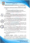 Vista preliminar de documento Resolución de Gerencia Municipal N° 0195-2021/MDPN