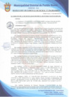 Vista preliminar de documento Resolución de Gerencia Municipal N° 0194-2021/MDPN