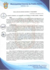 Vista preliminar de documento Resolución de Gerencia Municipal N° 0303-2021/MDPN