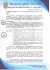 Vista preliminar de documento Resolución de Gerencia Municipal N° 0293-2021/MDPN