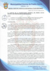 Vista preliminar de documento Resolución de Gerencia Municipal N° 0319-2021/MDPN