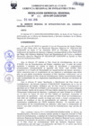 Vista preliminar de documento Resolución Gerencial de Gestión de Proyectos