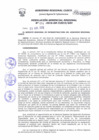 Vista preliminar de documento Resolución Gerencial de Gestión de Proyectos