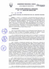 Vista preliminar de documento Resolución Gerencial de Gestión de Proyectos