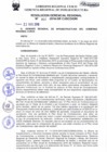 Vista preliminar de documento Resolución Gerencial de Gestión de Proyectos