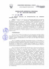 Vista preliminar de documento Resolución Gerencial de Gestión de Proyectos