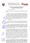 Vista preliminar de documento Resolución Gerencial de Gestión de Proyectos