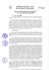 Vista preliminar de documento Resolución Gerencial de Gestión de Proyectos