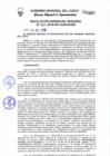 Vista preliminar de documento Resolución Gerencial de Gestión de Proyectos