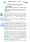 Vista preliminar de documento Resolución Gerencial de Gestión de Proyectos