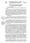 Vista preliminar de documento Resolución Gerencial de Gestión de Proyectos