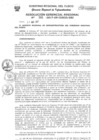 Vista preliminar de documento Resolución Gerencial de Gestión de Proyectos